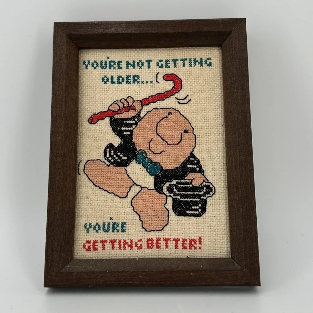 Vintage‎ Cross Stitch Ziggy Frame Wall Art Humor Birthday Gift Zigurat